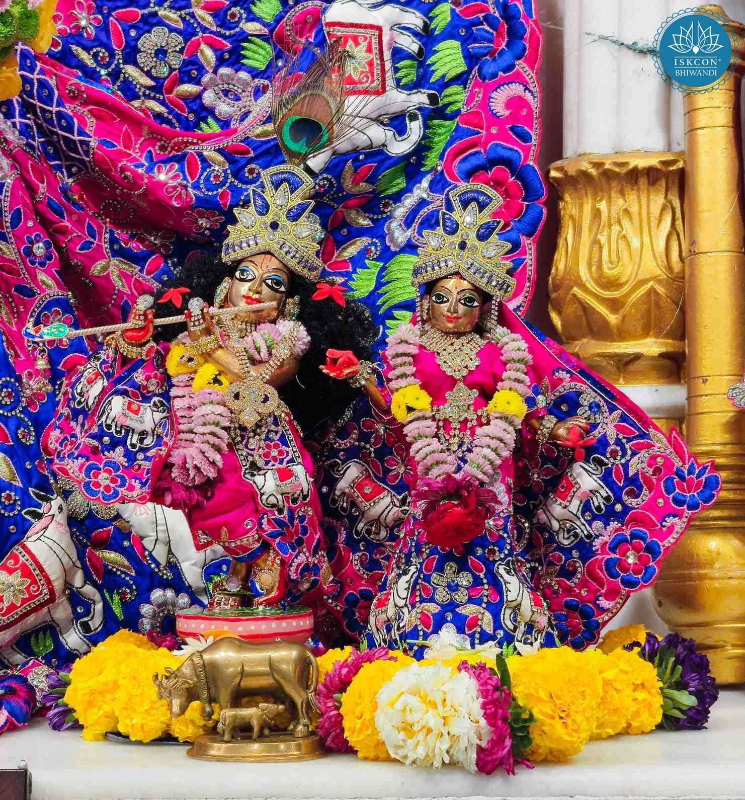 Sringar Darshan photo 10 of 12 — 20 February 2026