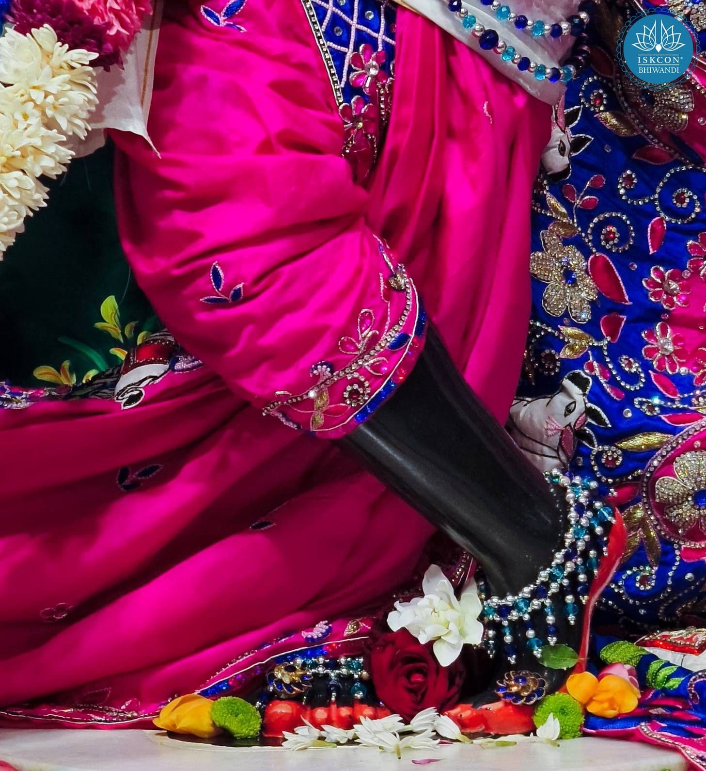 Sringar Darshan photo 8 of 12 — 20 February 2026