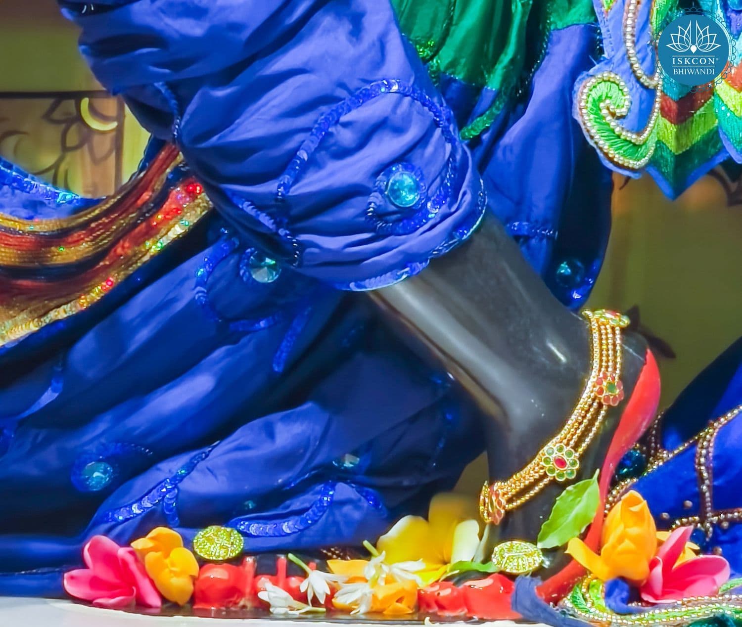 Sringar Darshan photo 7 of 12 — 21 February 2026