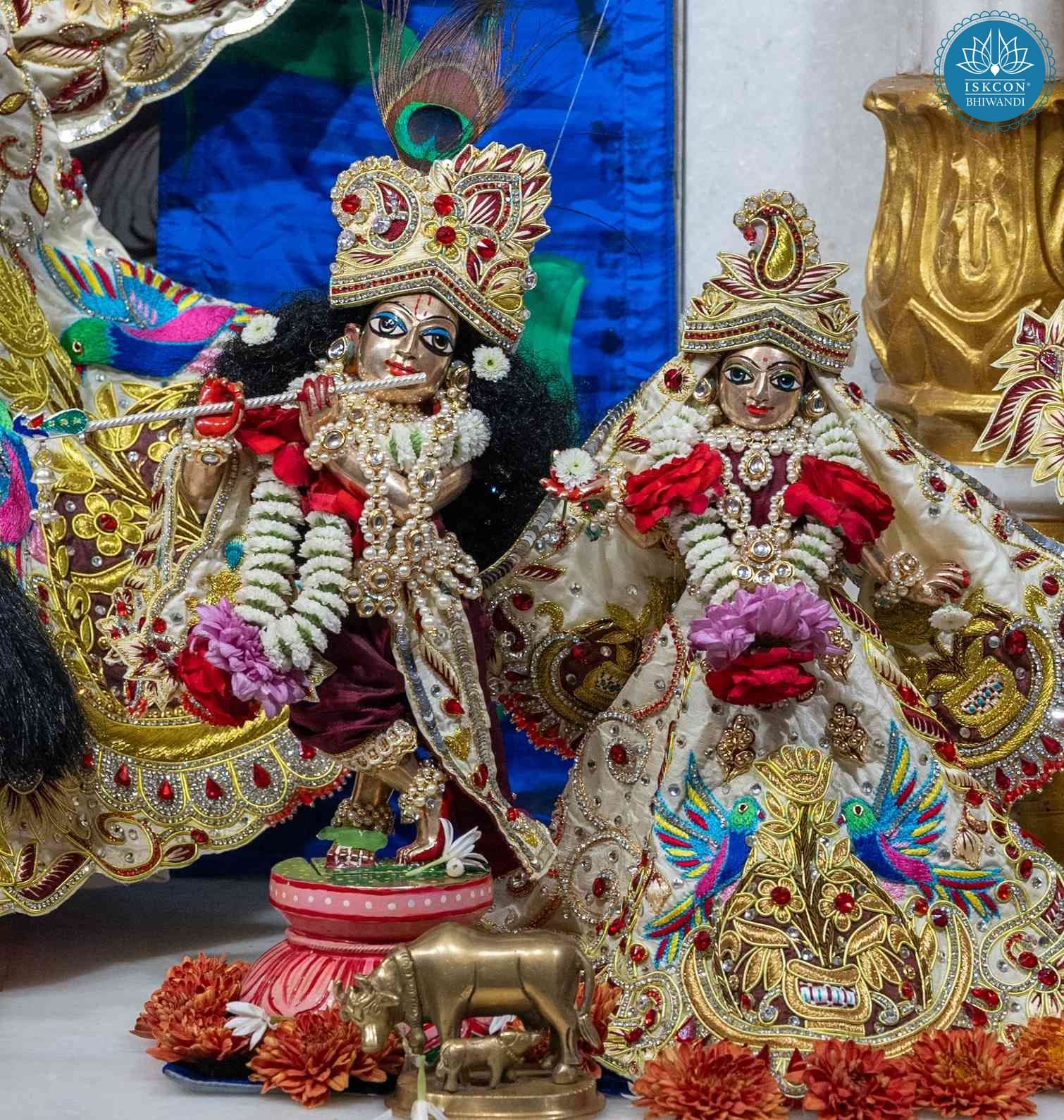 Sringar Darshan photo 9 of 12 — 22 February 2026