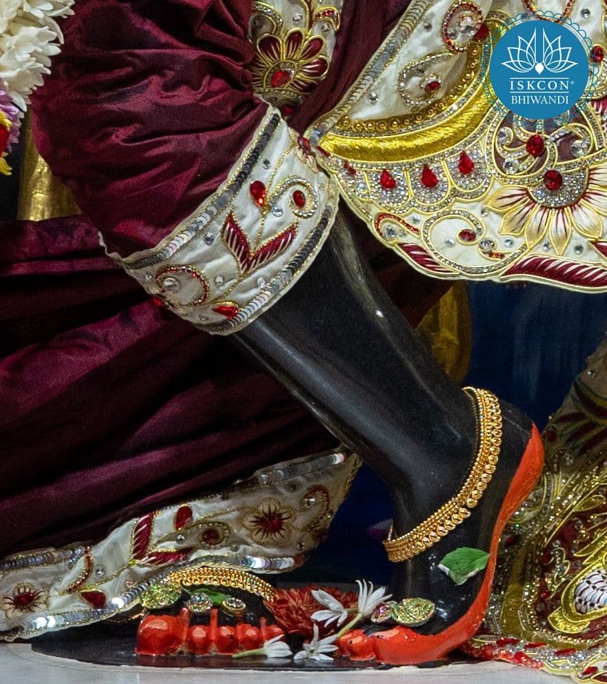 Sringar Darshan photo 12 of 12 — 22 February 2026
