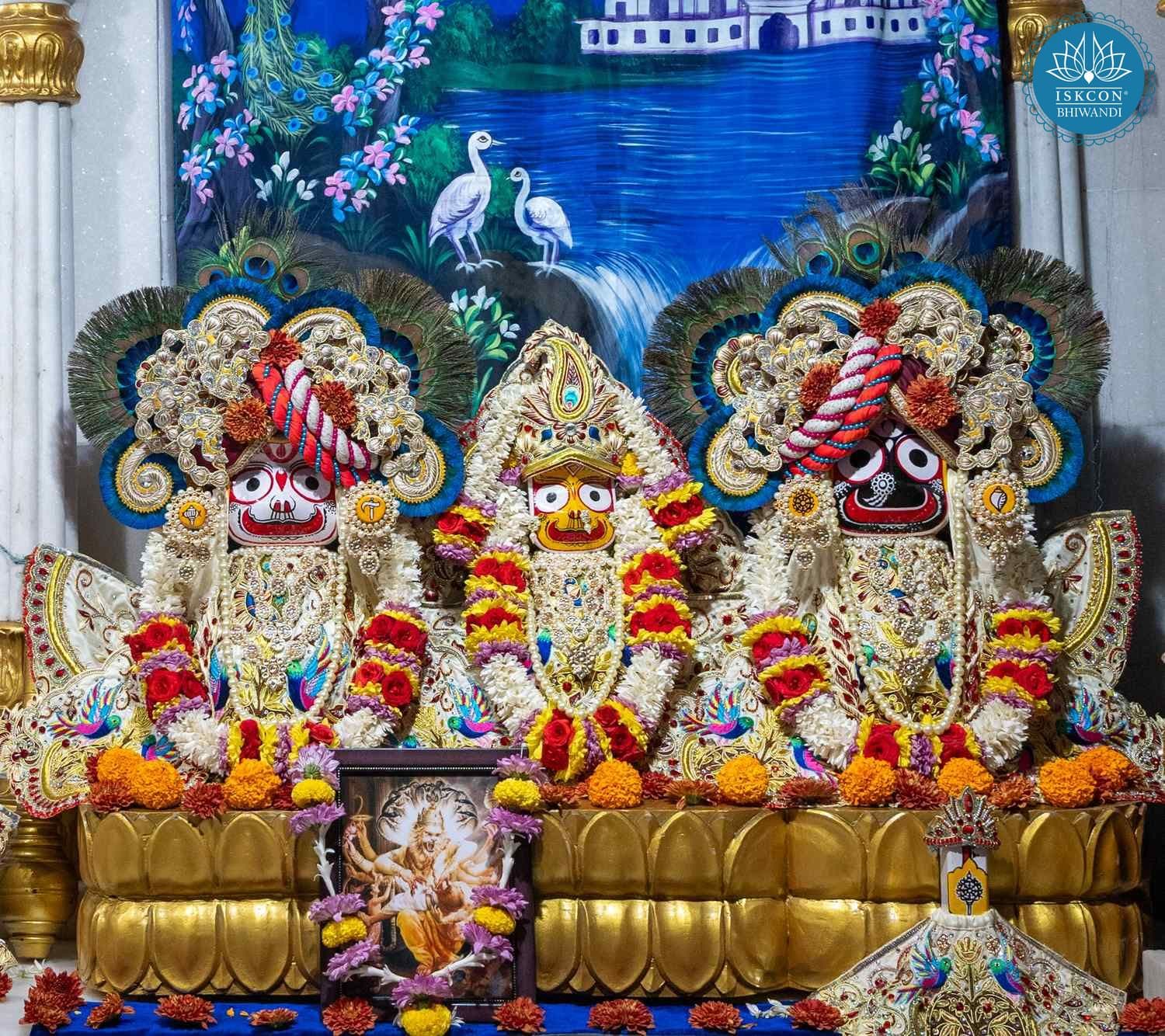 Sringar Darshan photo 2 of 12 — 22 February 2026