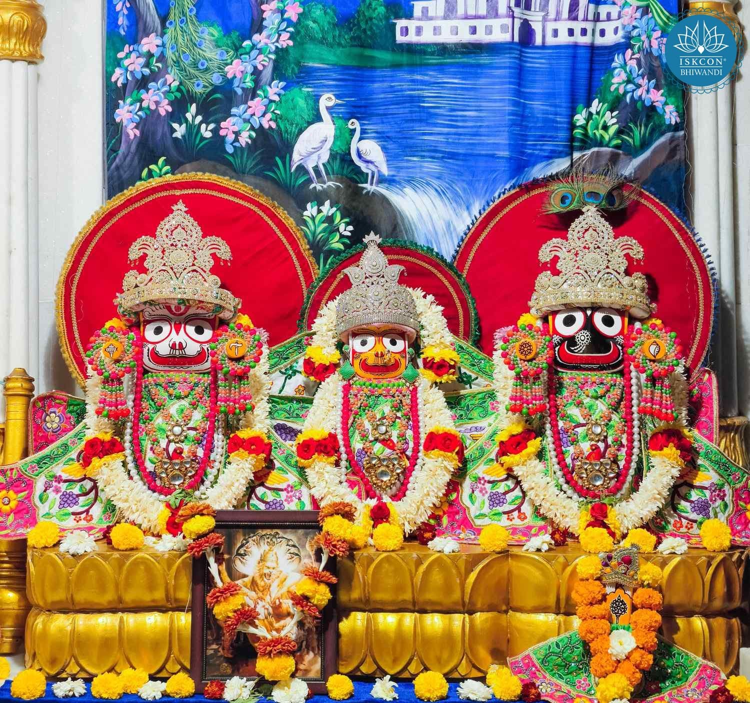 Sringar Darshan photo 2 of 12 — 23 February 2026