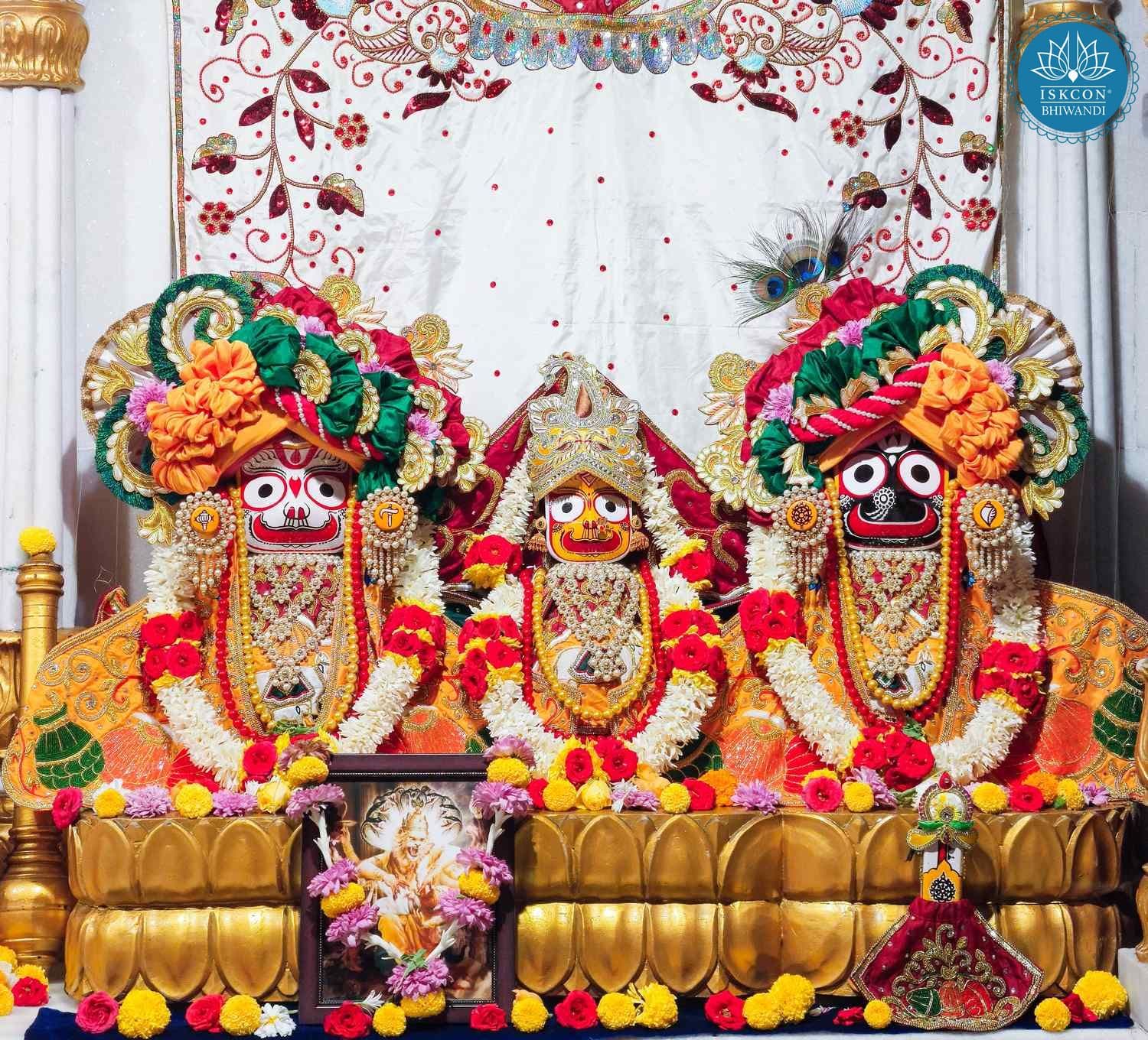 Sringar Darshan photo 2 of 12 — 24 February 2026