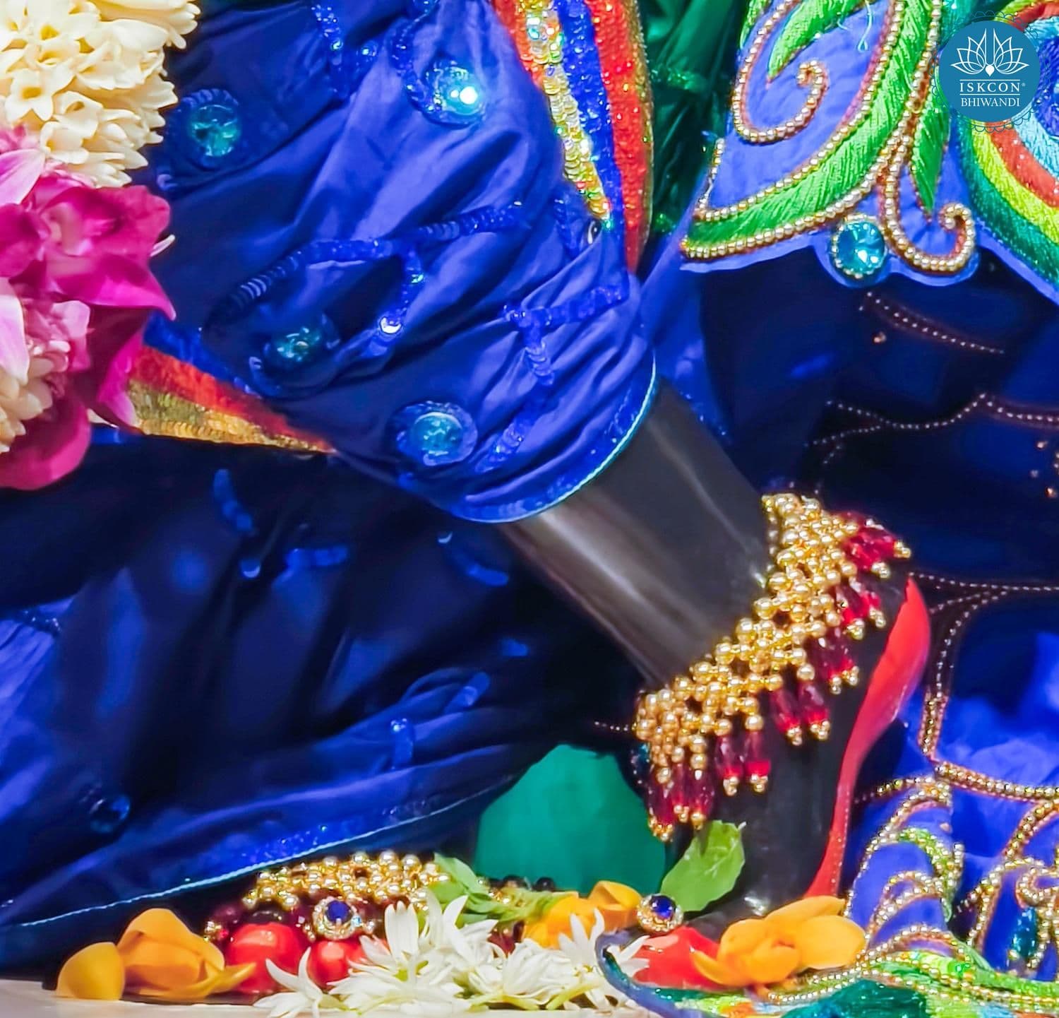 Sringar Darshan photo 8 of 12 — 28 February 2026