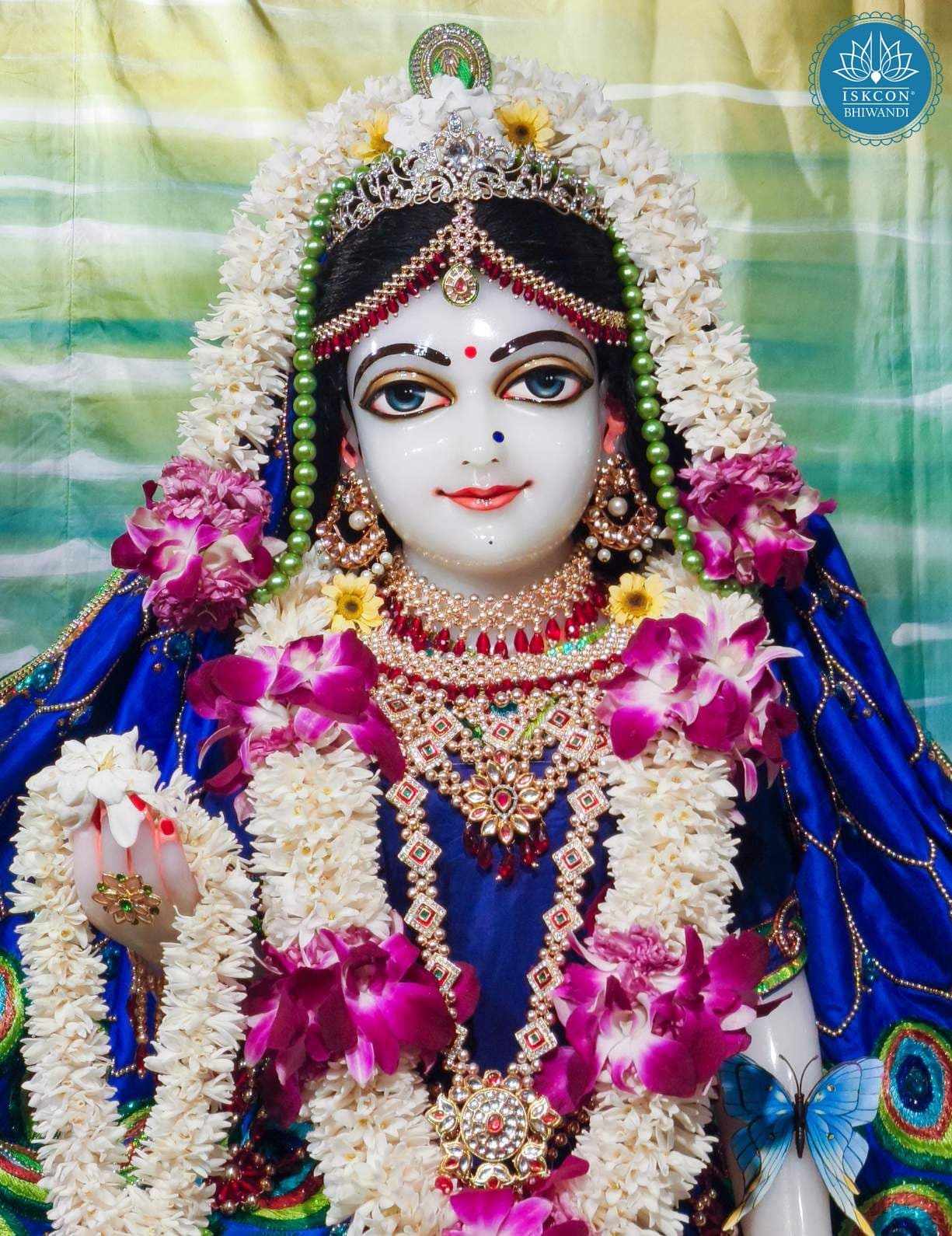 Sringar Darshan photo 12 of 12 — 28 February 2026