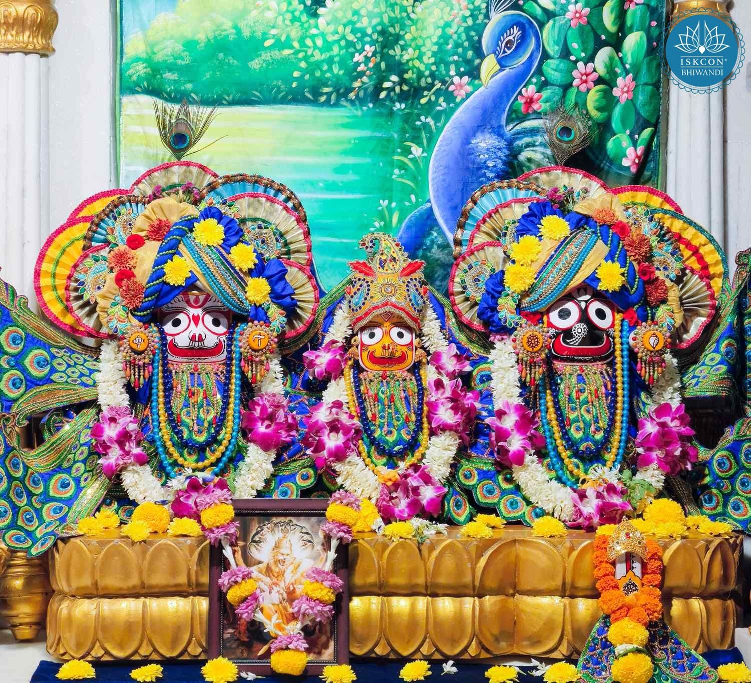 Sringar Darshan photo 2 of 12 — 28 February 2026