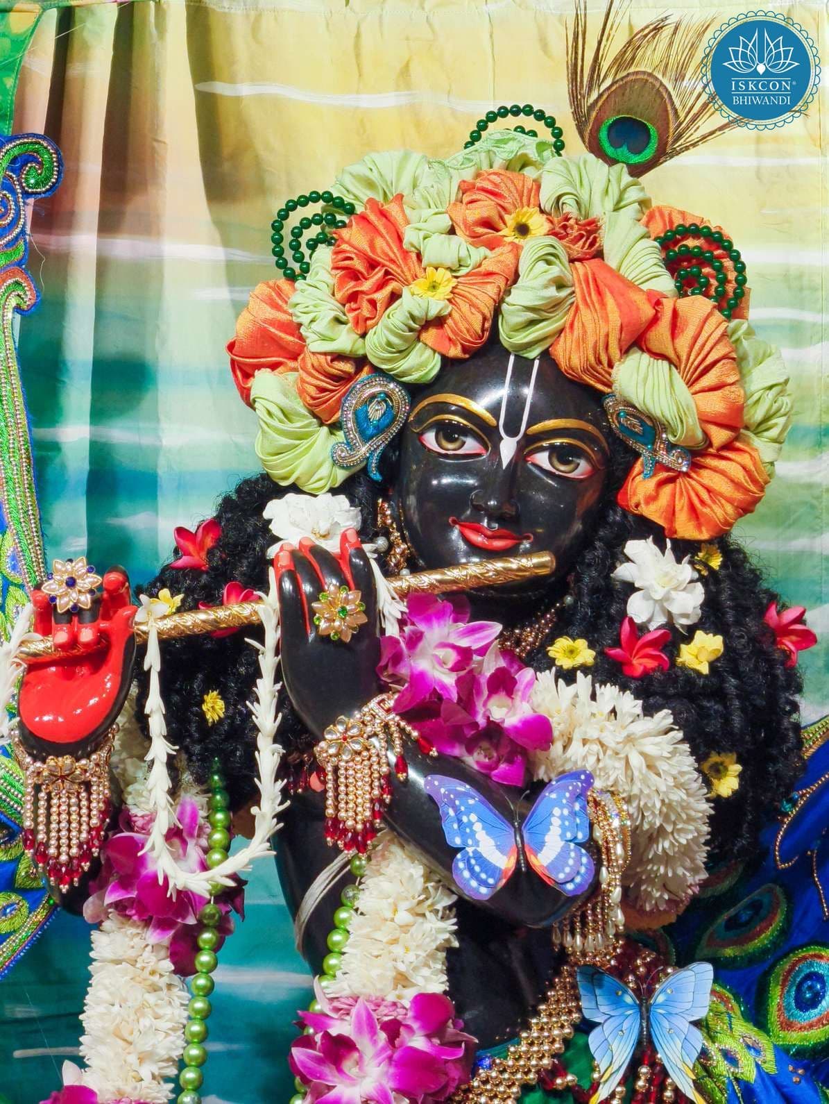 Sringar Darshan photo 11 of 12 — 28 February 2026