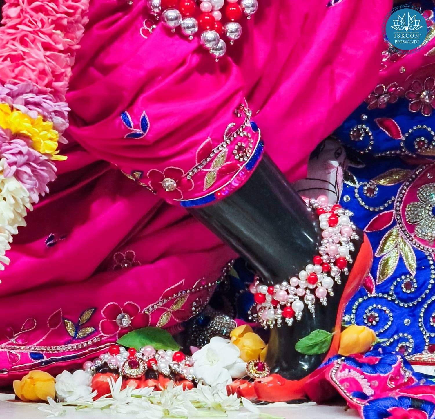 Sringar Darshan photo 10 of 12 — 6 March 2026
