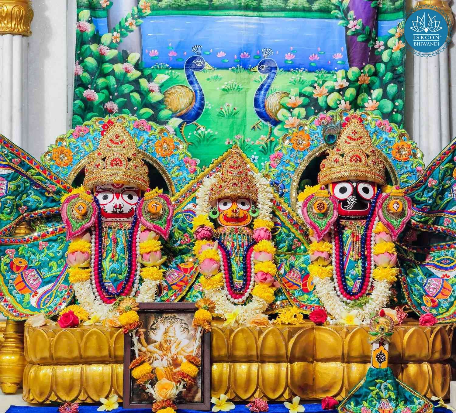 Sringar Darshan photo 2 of 12 — 25 March 2026