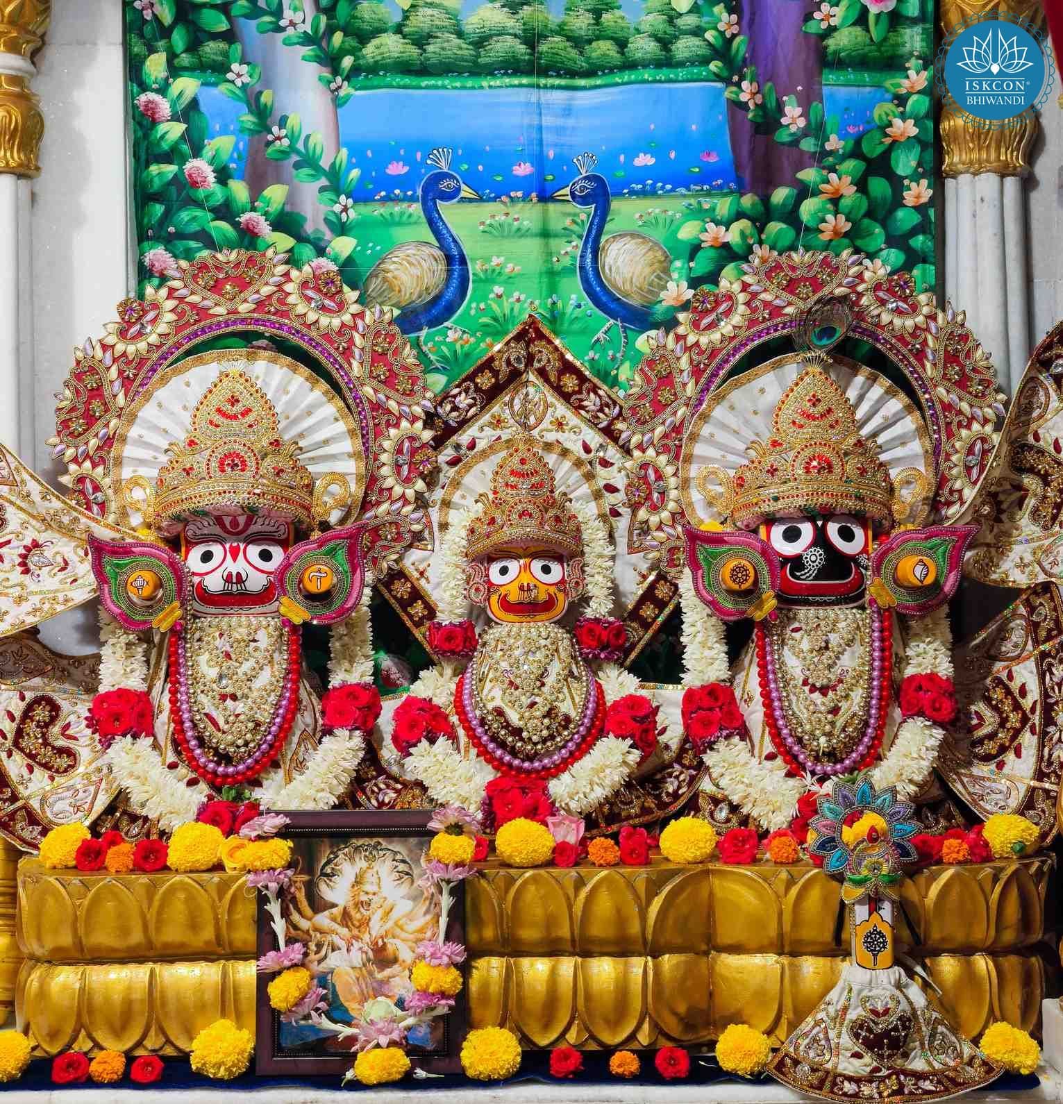 Sringar Darshan photo 2 of 12 — 30 March 2026