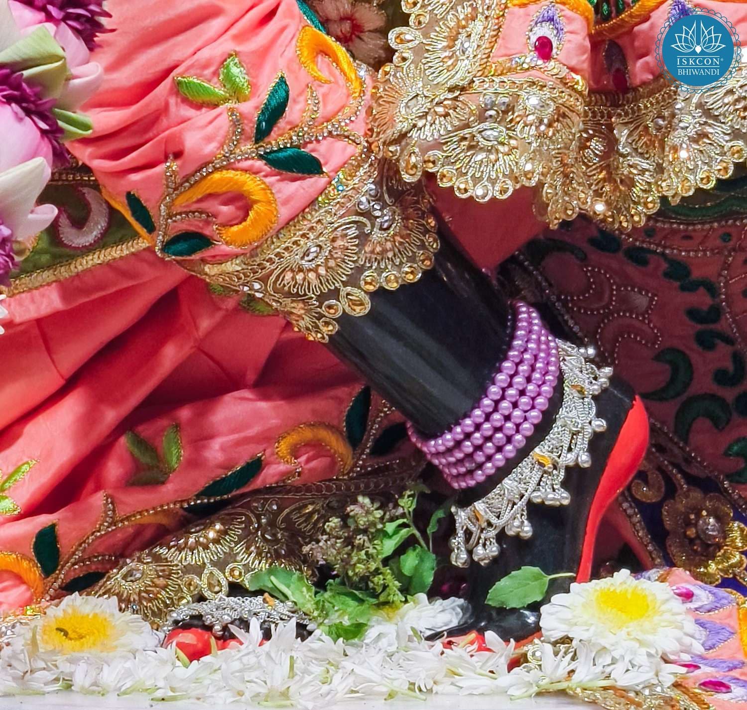 Sringar Darshan photo 8 of 12 — 1 April 2026