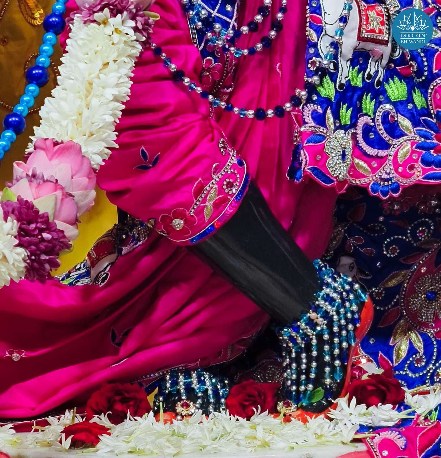 Sringar Darshan photo 12 of 12 — 3 April 2026