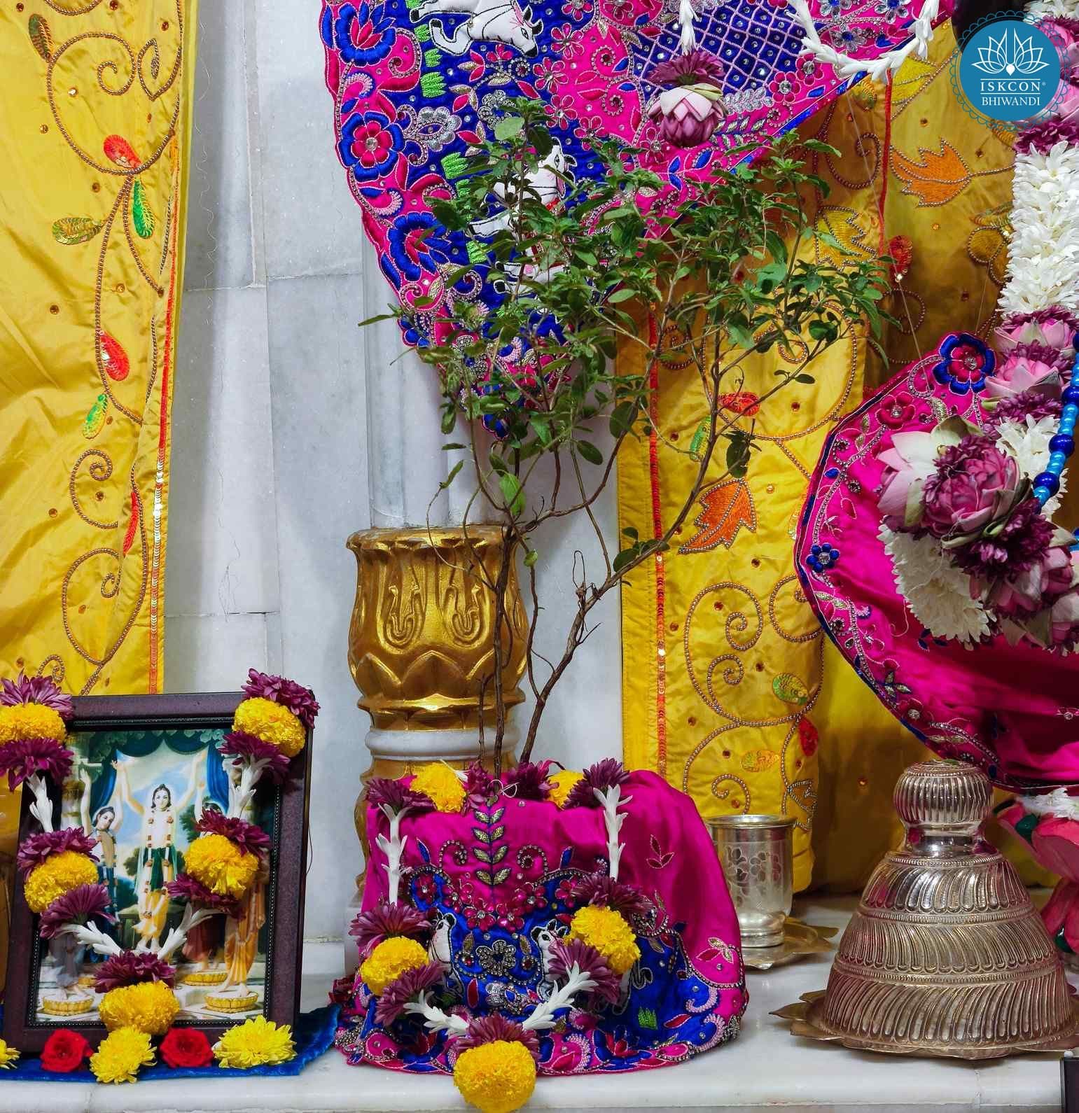 Sringar Darshan photo 9 of 12 — 3 April 2026