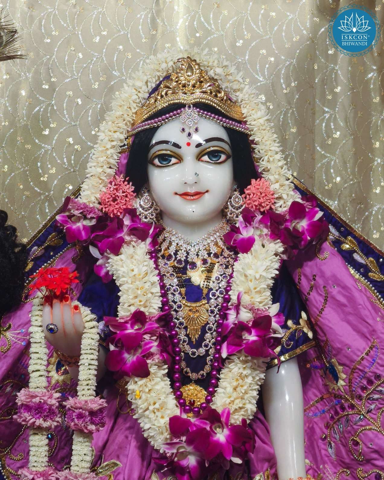 Sringar Darshan photo 12 of 12 — 11 April 2026
