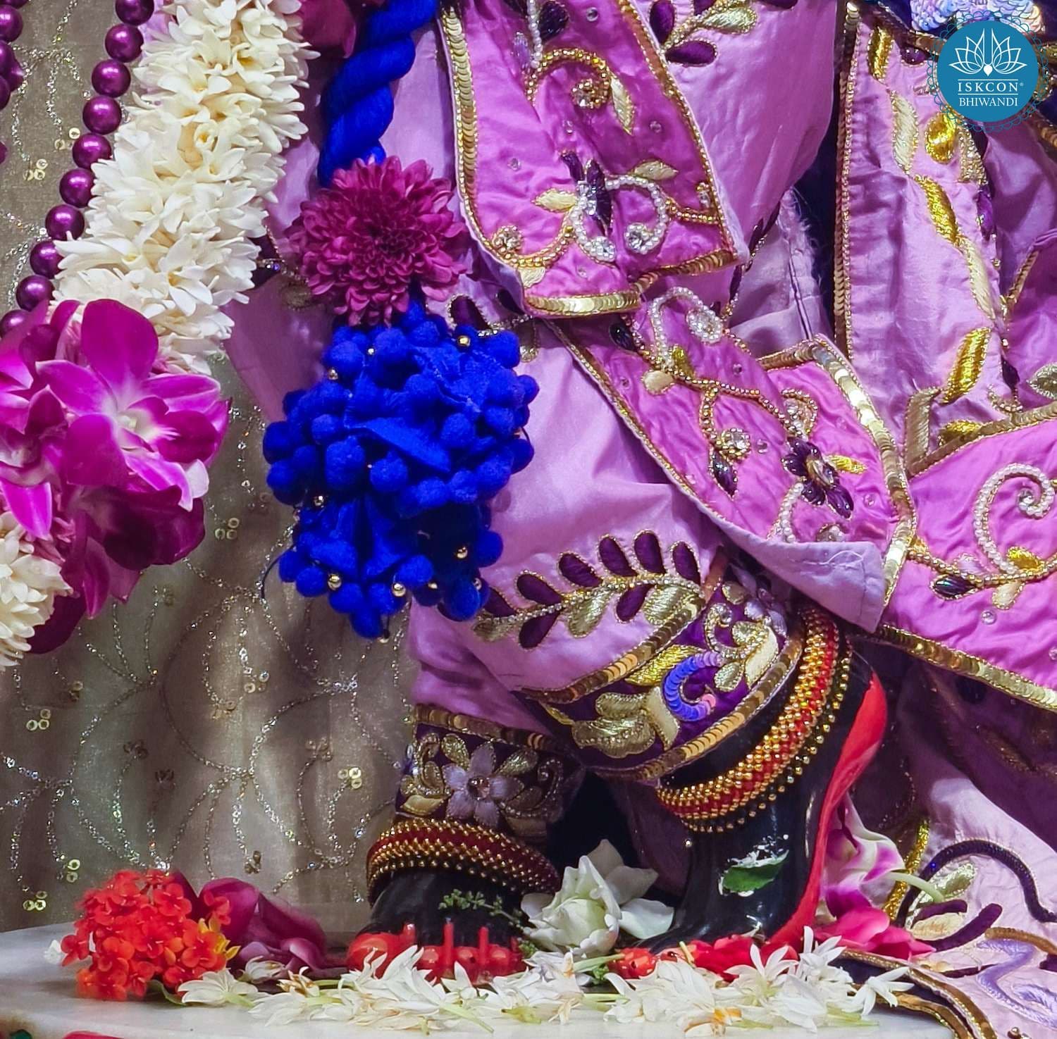 Sringar Darshan photo 11 of 12 — 11 April 2026