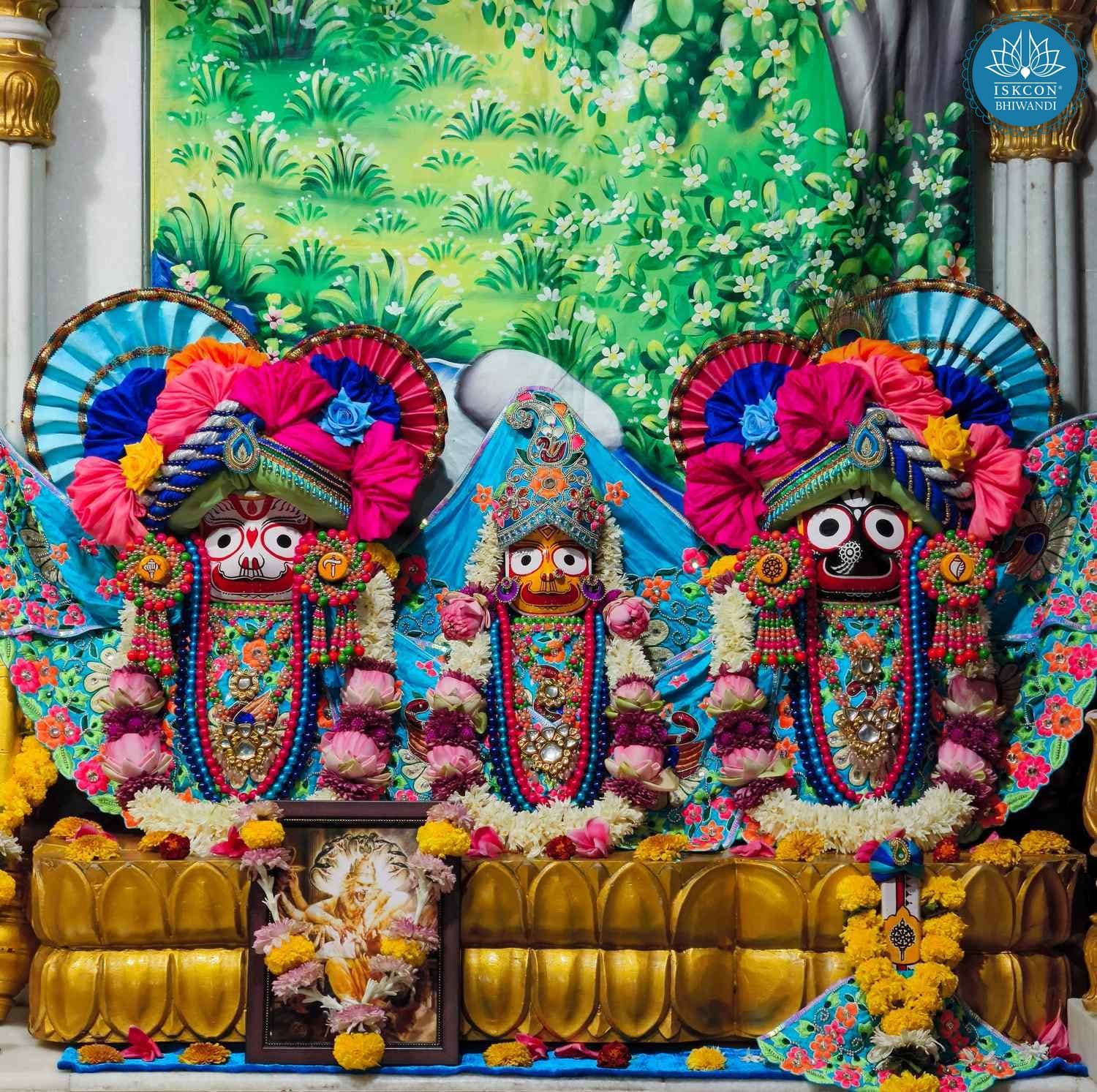 Sringar Darshan photo 6 of 12 — 17 April 2026