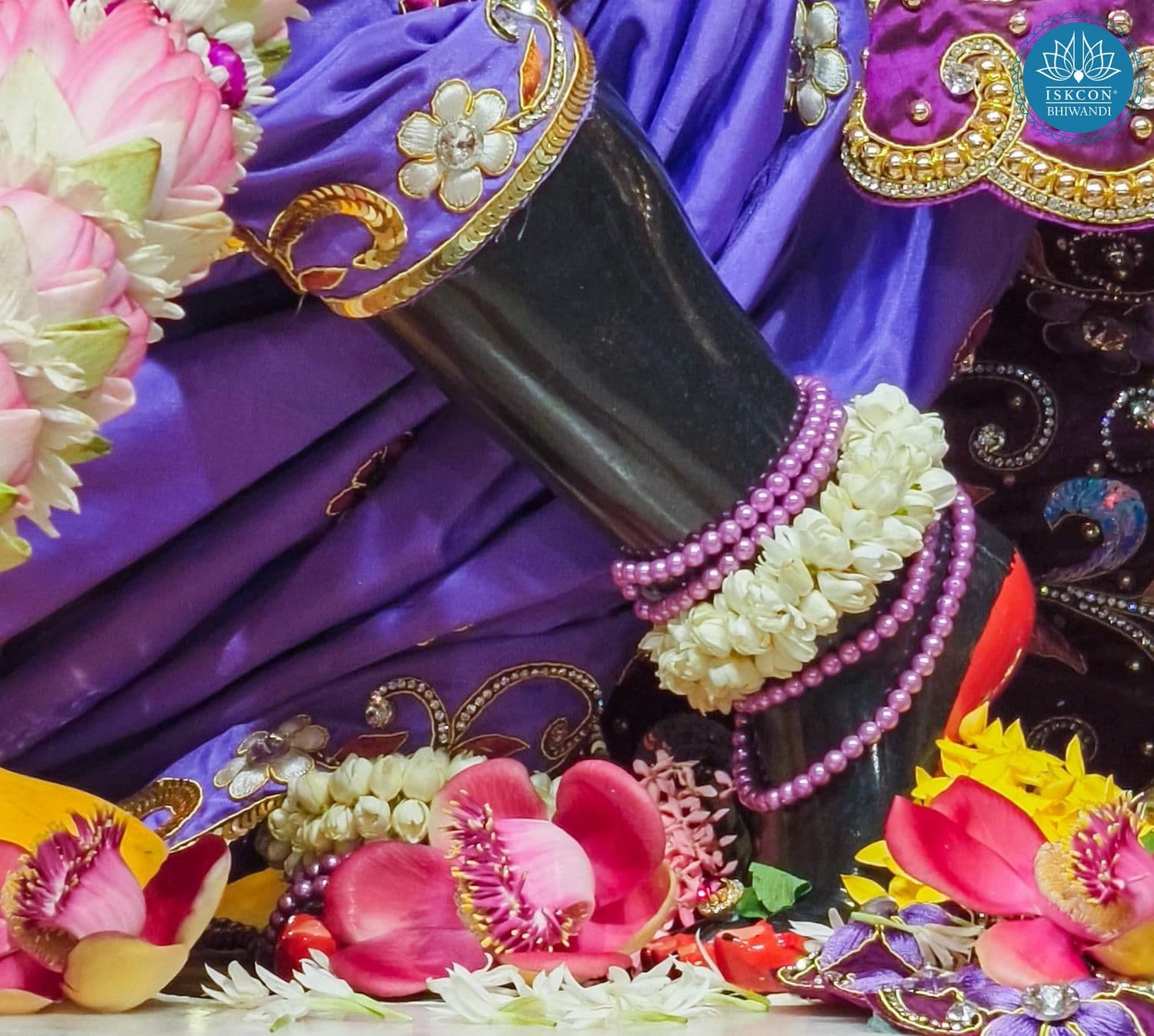 Sringar Darshan photo 9 of 12 — 19 April 2026