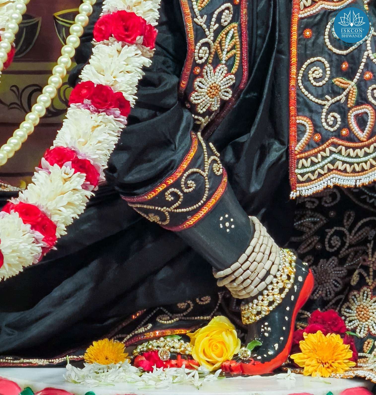 Sringar Darshan photo 8 of 12 — 25 April 2026