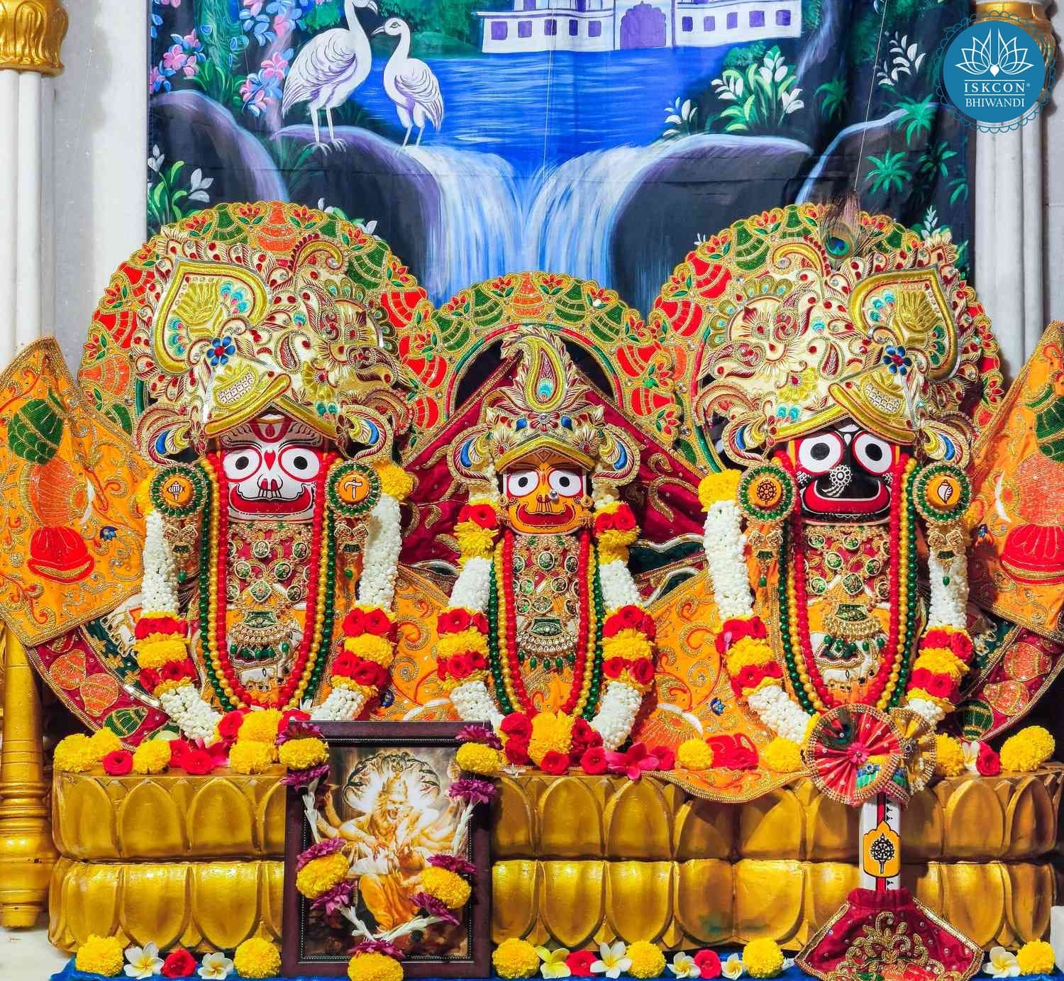Sringar Darshan photo 3 of 12 — 28 April 2026