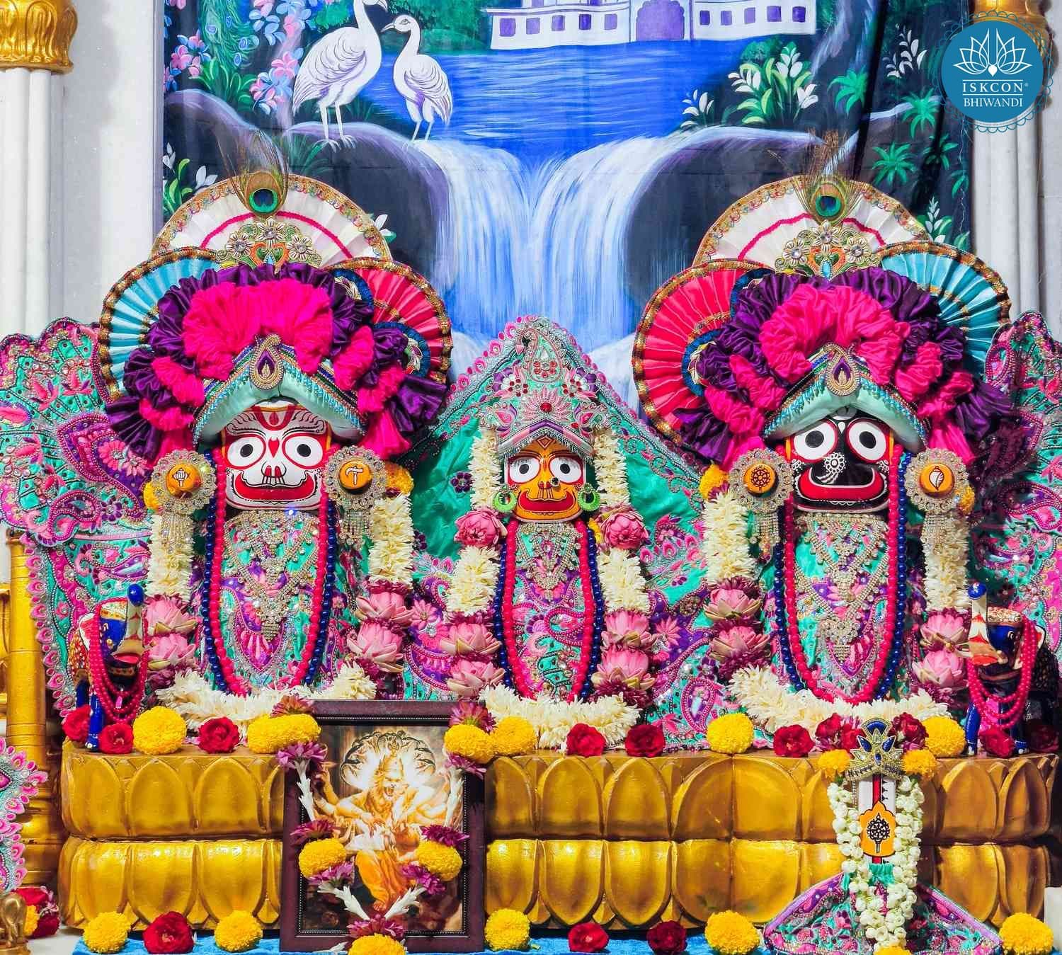 Sringar Darshan photo 5 of 12 — 29 April 2026