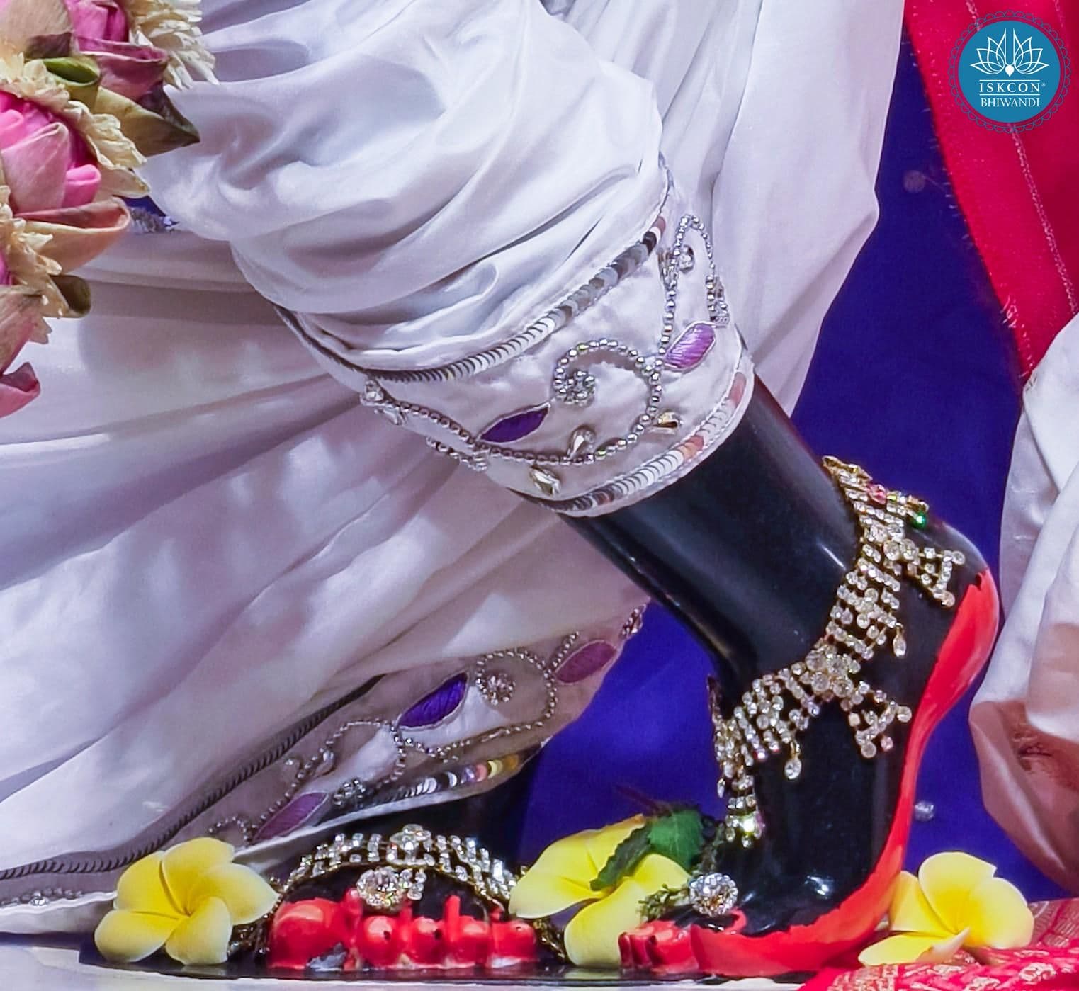 Sringar Darshan photo 5 of 12 — 1 May 2026