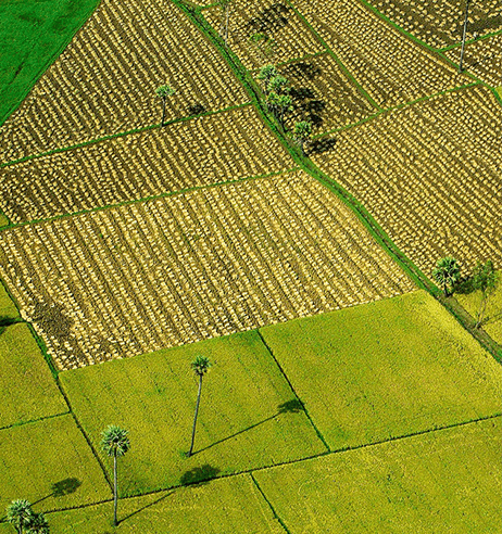 Green Initiatives Sircilla