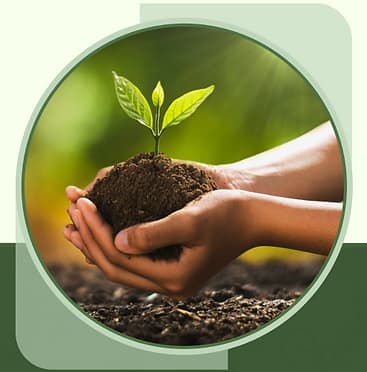 Green Plans