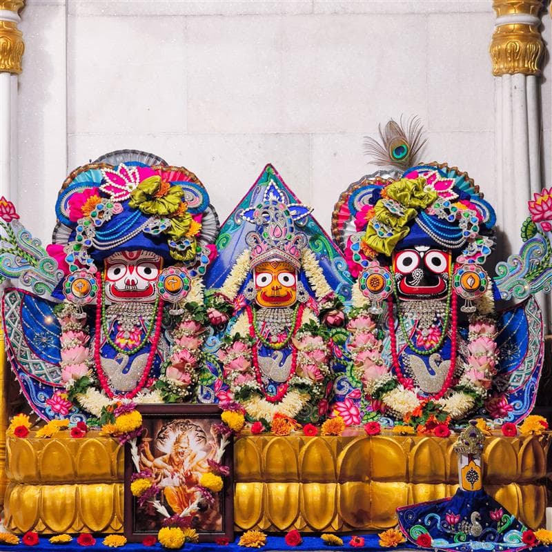 Sri Sri Jagannath Baladev & Subhadra