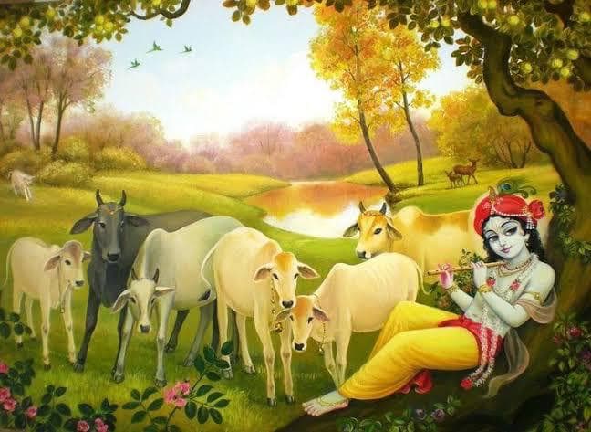 Krishna's Cows